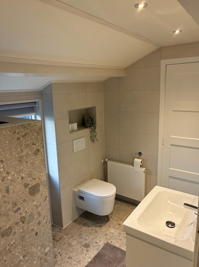 Lichte badkamer met inloopdouche, wastafel en toilet